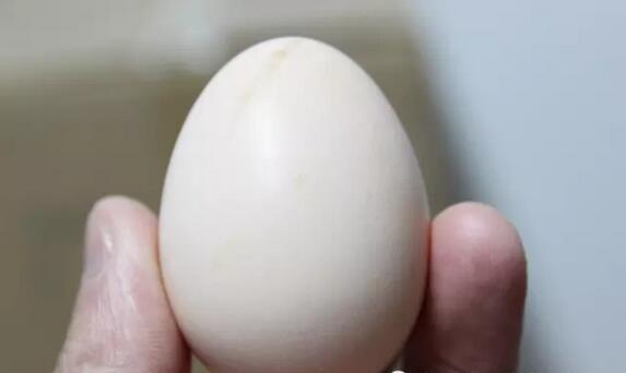 深山之蛋，嗨戰(zhàn)村淘年貨節(jié)！