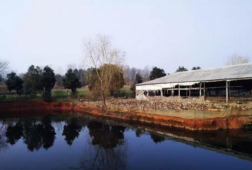 QQ截圖20160226161656